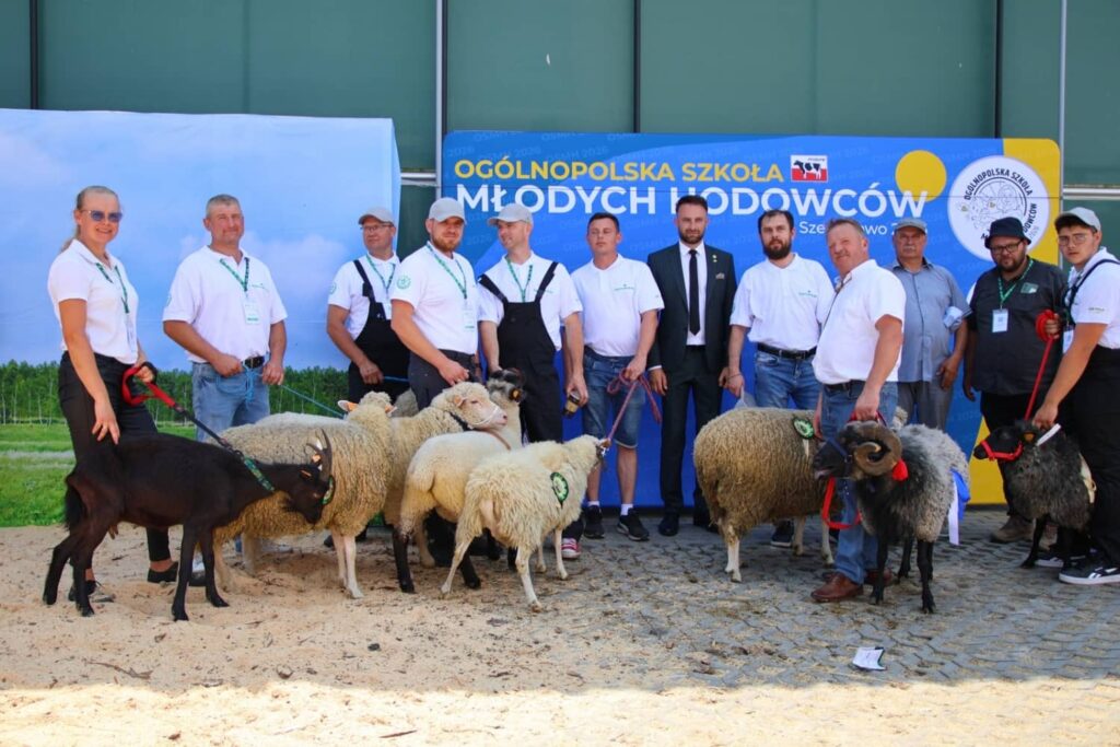 Hodowcy owiec